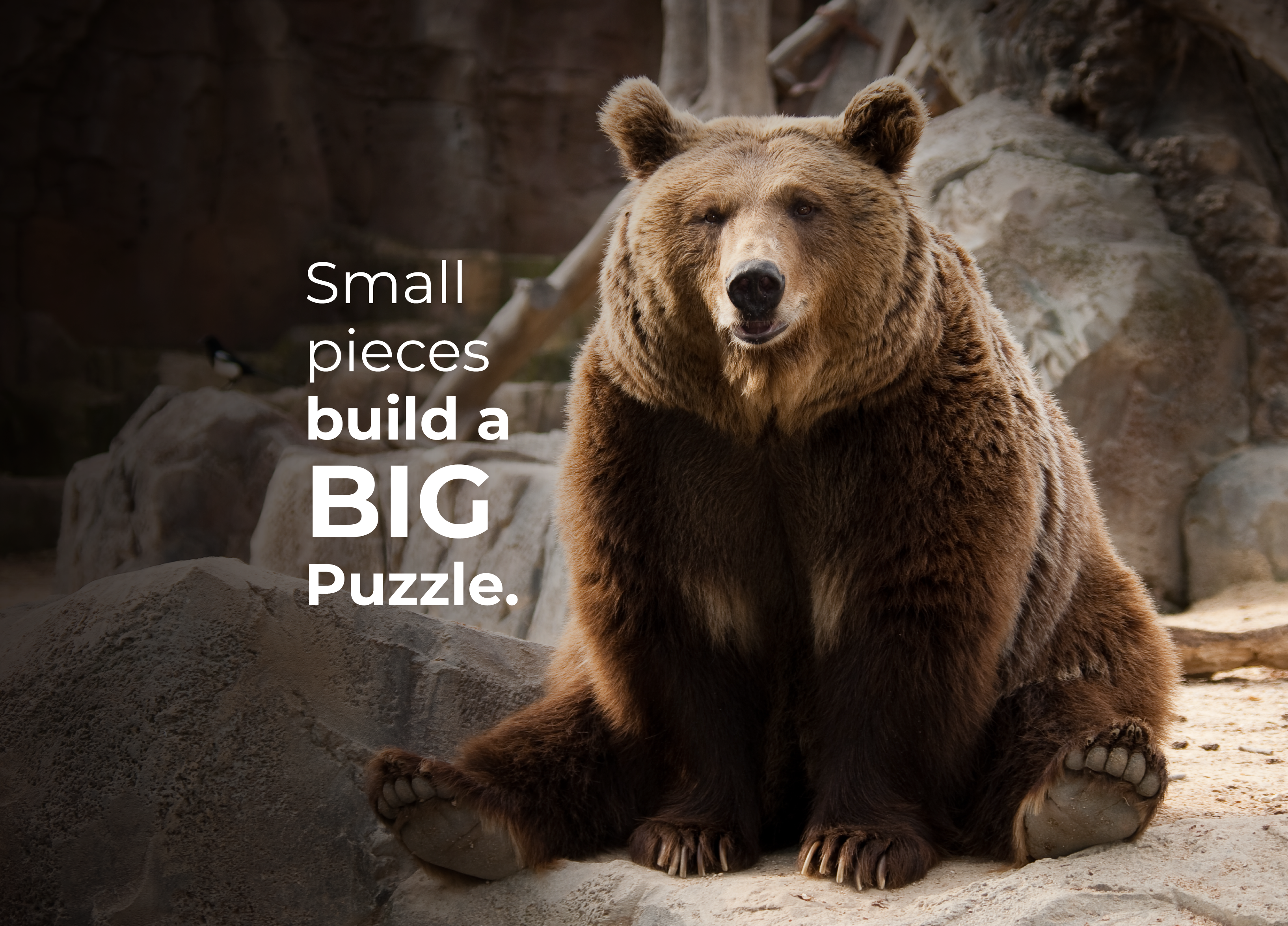 Small pieces build a BIG Puzzle.