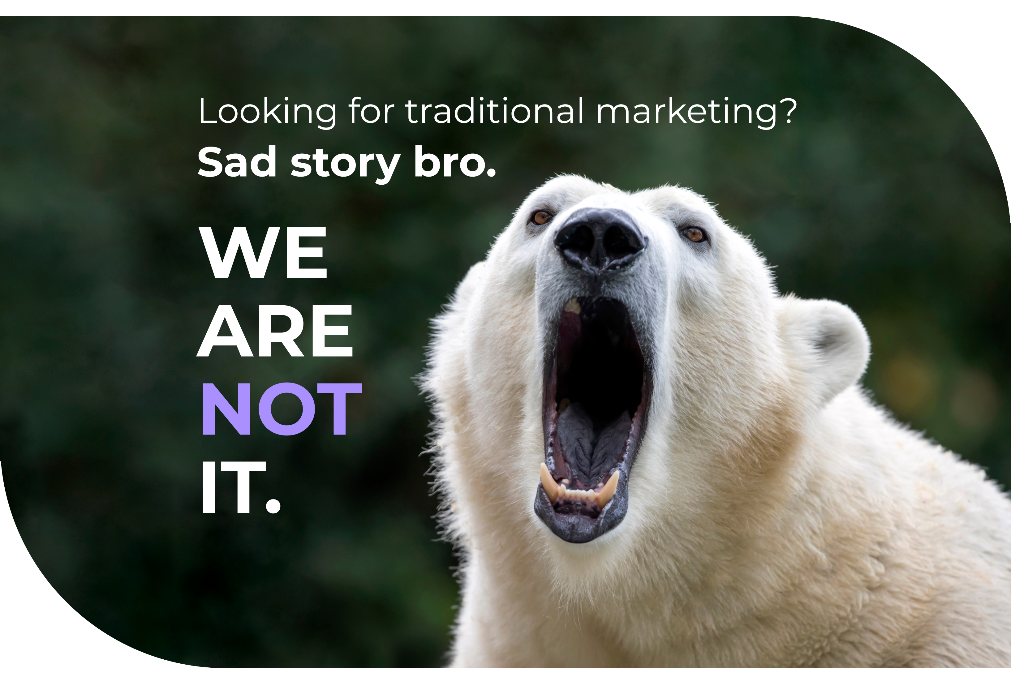 Looking for traditional marketing? Sad story bro. WE ARE NOT IT.